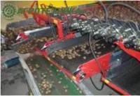 Лента 076.07017 отводящего транспортера для приемных бункеров Grimme RH